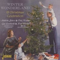 Blandade Artister - Winter Wonderland - A Christmas Cel in the group CD / Pop-Rock at Bengans Skivbutik AB (1008133)