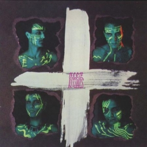 Neon - Rituals in the group VINYL / Rock at Bengans Skivbutik AB (1009673)