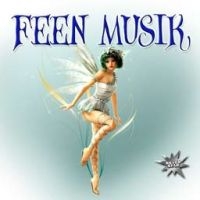 Various Artists - Feen Musik in the group CD / Pop-Rock at Bengans Skivbutik AB (1012693)