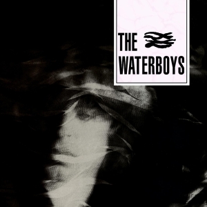 The Waterboys - Waterboys in the group OTHER / CRM - Irish Pop-Rock at Bengans Skivbutik AB (1020032)