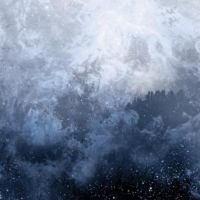 Wolves In The Throne Room - Celestite in the group VINYL / Hårdrock at Bengans Skivbutik AB (1053001)