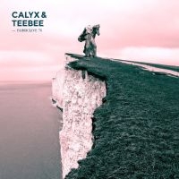 Calyx & Teebee - Fabriclive 76 : in the group CD / Dance-Techno,Pop-Rock at Bengans Skivbutik AB (1060774)