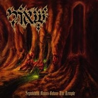 SHEOL - SEPULCHRAL RUINS BELOW THE TEMPLE in the group OUR PICKS / Christmas gift tip CD at Bengans Skivbutik AB (1110930)