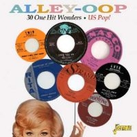 Various Artists - Alley-Oop - 30 One Hit Wonders Us P in the group CD / Pop-Rock at Bengans Skivbutik AB (1111477)