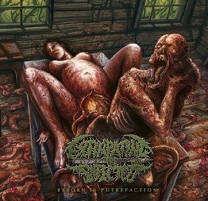 Extirpating The Infected - Reborn In Putrefaction in the group CD / Hårdrock/ Heavy metal at Bengans Skivbutik AB (1117940)