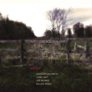 Wadada Leo Smith Jamie Saft Joe M - Red Hill (180 G) in the group VINYL / Pop at Bengans Skivbutik AB (1125540)