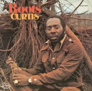 Curtis Mayfield - Roots in the group CD / RnB-Soul at Bengans Skivbutik AB (1129928)