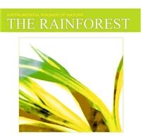 Instrumental Sounds Of Nature - Rainforest in the group CD / Pop-Rock at Bengans Skivbutik AB (1147111)