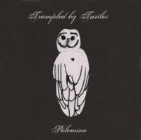 Trampled By Turtles - Palomino in the group CD / Pop-Rock at Bengans Skivbutik AB (1166249)