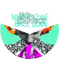 Jad & The Ladyboy - Never Come Back Down in the group VINYL / Dance-Techno at Bengans Skivbutik AB (1244308)