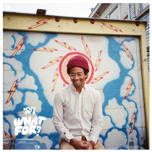 Toro Y Moi - What For? in the group VINYL / Hårdrock,Pop-Rock at Bengans Skivbutik AB (1247465)