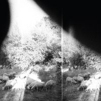 Godspeed You! Black Emperor - Asunder, Sweet And Other Distress ( in the group Minishops /  Godspeed You at Bengans Skivbutik AB (1263302)