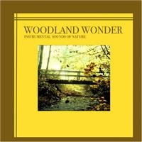 Instrumental Sounds Of Nature - Woodland Wonder in the group OUR PICKS / Christmas gift tip CD at Bengans Skivbutik AB (1267028)