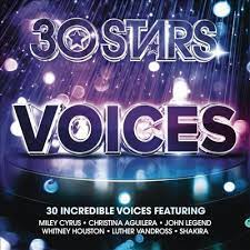 Blandade Artister - 30 Stars: Voices in the group OUR PICKS / Christmas gift tip CD at Bengans Skivbutik AB (1312123)