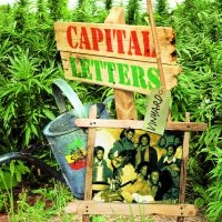 Capital Letters - Vinyard in the group VINYL / Reggae at Bengans Skivbutik AB (1335115)