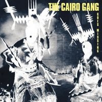 Cairo Gang - Goes Missing in the group VINYL / Pop-Rock at Bengans Skivbutik AB (1475101)