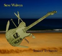 Walwyn Steve - Instinct To Survive in the group CD / Rock at Bengans Skivbutik AB (1484019)