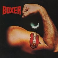 Boxer - Absolutely in the group CD / Pop-Rock at Bengans Skivbutik AB (1539797)