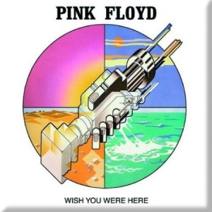 Pink floyd - Wish you were here graphic in the group OTHER / MK Test 7 at Bengans Skivbutik AB (1556202)