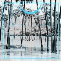 FOUR TET - PINK in the group OUR PICKS /  Christmas gift tip Vinyl at Bengans Skivbutik AB (1735586)