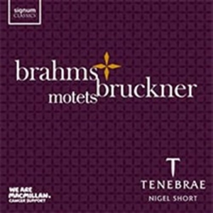 Brahms / Bruckner - Motets in the group OUR PICKS / Christmas gift tip CD at Bengans Skivbutik AB (1740164)