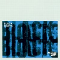 Various Artists - Black Roots in the group CD / Pop-Rock at Bengans Skivbutik AB (1810455)