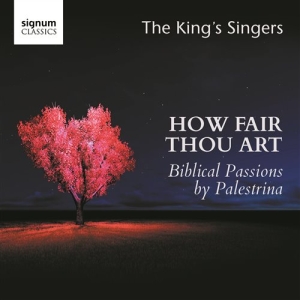 Palestrina Giovanni Pierluigi Da - How Fair Thou Art in the group OUR PICKS / Christmas gift tip CD at Bengans Skivbutik AB (1847540)