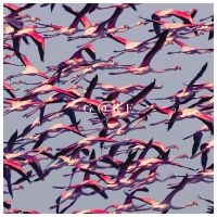 Deftones - Gore (Vinyl Ltd.) in the group Minishops / Deftones at Bengans Skivbutik AB (1877202)