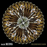 Sax Ruins - Blimmguass in the group CD / Pop-Rock at Bengans Skivbutik AB (1908077)