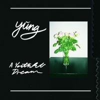 Yung - A Youthful Dream - Ltd.Ed. in the group VINYL / Pop-Rock at Bengans Skivbutik AB (1914617)