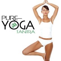 Blandade Artister - Pure Yoga Tantra in the group CD / Pop at Bengans Skivbutik AB (1951312)