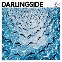 Darlingside - Birds Say in the group VINYL / Pop-Rock at Bengans Skivbutik AB (1951419)