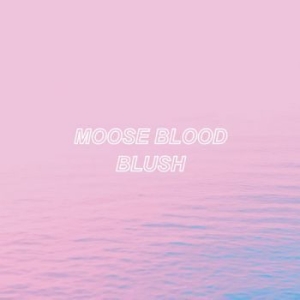 Moose Blood - Blush in the group OUR PICKS / Christmas gift tip CD at Bengans Skivbutik AB (1969343)