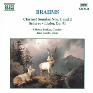 Brahms Johannes - Sonatas For Clarinet & Piano in the group OUR PICKS / Christmas gift tip CD at Bengans Skivbutik AB (2009387)