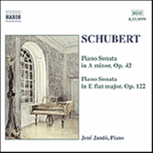 Schubert Franz - Piano Sonatas in the group OUR PICKS / Christmas gift tip CD at Bengans Skivbutik AB (2011846)