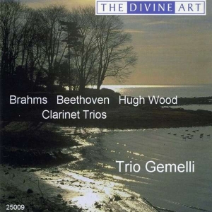 Brahms/Beethoven/Wood - Klarinettentrios in the group OUR PICKS / Christmas gift tip CD at Bengans Skivbutik AB (2016567)