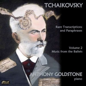 Tchaikovsky Peter - Rare Transcriptions in the group Externt_Lager /  at Bengans Skivbutik AB (2016661)