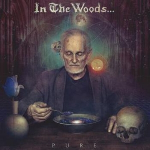 In The Woods - Pure in the group CD / Hårdrock/ Heavy metal at Bengans Skivbutik AB (2032066)