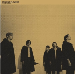 Drinking Flowers - New Swirled Order in the group CD / Pop at Bengans Skivbutik AB (2042465)