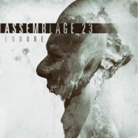 Assemblage 23 - Endure Limited Edition Lp in the group VINYL / Pop-Rock at Bengans Skivbutik AB (2060755)