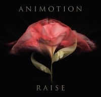 Animotion - Raise Your Expectations in the group CD / Pop-Rock at Bengans Skivbutik AB (2063983)