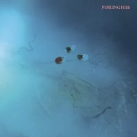 Purling Hiss - High Bias in the group VINYL / Pop-Rock at Bengans Skivbutik AB (2084209)