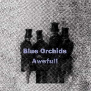 Blue Orchids - Awefull in the group VINYL / Rock at Bengans Skivbutik AB (2098359)