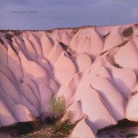 Autechre - Amber in the group VINYL / Pop-Rock at Bengans Skivbutik AB (2098396)