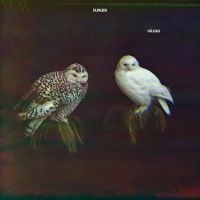 Dungen - Häxan in the group CD / Pop-Rock at Bengans Skivbutik AB (2101159)