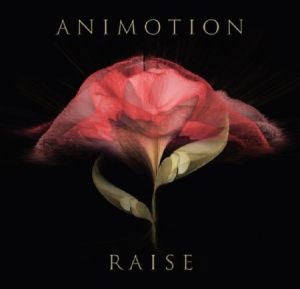 Animotion - Raise Your Expectations in the group VINYL / Pop at Bengans Skivbutik AB (2168075)