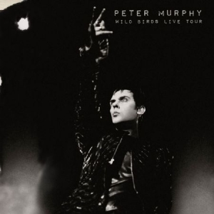 Murphy Peter - Wild Birds Live Tour in the group VINYL / Pop-Rock at Bengans Skivbutik AB (2249681)