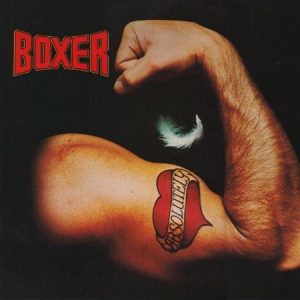 Boxer - Absolutely in the group VINYL / Rock at Bengans Skivbutik AB (2255717)