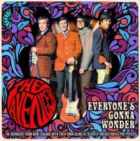 Avengers - Everyone's Gonna Wonder: Complete S in the group CD / Pop-Rock at Bengans Skivbutik AB (2255738)