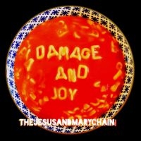 THE JESUS AND MARY CHAIN - DAMAGE AND JOY in the group CD / Pop at Bengans Skivbutik AB (2264673)